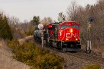 CN 8309